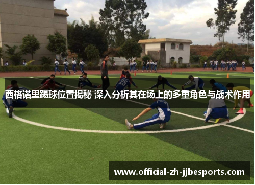 西格诺里踢球位置揭秘 深入分析其在场上的多重角色与战术作用