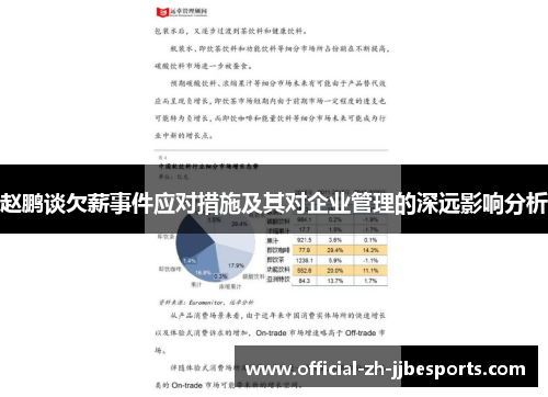 赵鹏谈欠薪事件应对措施及其对企业管理的深远影响分析