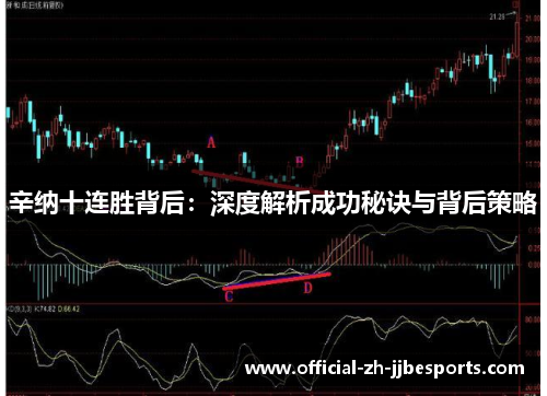 辛纳十连胜背后：深度解析成功秘诀与背后策略